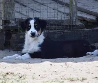 processed/113b97b1-42c4-4ba5-96b6-1186808e2a6a/listing/e8fcbe79-bb34-4343-a011-fffb7e910d9d/d5c04a98-934a-49b0-826c-a90e4f88a4df