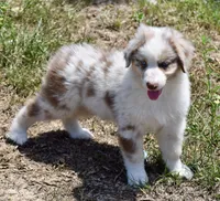 processed/113b97b1-42c4-4ba5-96b6-1186808e2a6a/listing/ed20d265-651d-4cfa-b07b-3468a13e10b4/1d5c5e11-40ec-459d-837d-6e5a63fe7db1