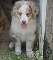 processed/113b97b1-42c4-4ba5-96b6-1186808e2a6a/listing/ed20d265-651d-4cfa-b07b-3468a13e10b4/22191add-9569-4b84-af16-74cb93723297