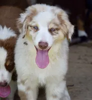 processed/113b97b1-42c4-4ba5-96b6-1186808e2a6a/listing/ed20d265-651d-4cfa-b07b-3468a13e10b4/66bc51f5-b845-4f91-8e48-453cfbff03cd