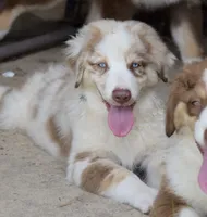 processed/113b97b1-42c4-4ba5-96b6-1186808e2a6a/listing/ed20d265-651d-4cfa-b07b-3468a13e10b4/84f0396c-5b62-48cb-a792-e827efdf4c7e