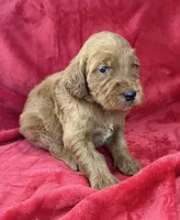 processed/11426e4a-1039-4529-87ed-ed52231681e2/listing/0728c2f6-221d-4352-b790-efa4f8b54cad/9a0224c1-bc2d-4920-8846-4d2c1d4a1f52