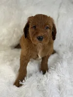 processed/11426e4a-1039-4529-87ed-ed52231681e2/listing/0728c2f6-221d-4352-b790-efa4f8b54cad/f48db375-6bb5-409e-8ea7-673704029297