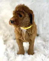 processed/11426e4a-1039-4529-87ed-ed52231681e2/listing/a46de58e-fa48-483f-949a-0d02de040ac9/5161363a-ff4d-4248-b3ea-922be0fe4e9a