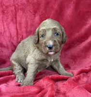 processed/11426e4a-1039-4529-87ed-ed52231681e2/listing/a46de58e-fa48-483f-949a-0d02de040ac9/e98a1ec2-5c87-4b2b-9035-799114cdf498