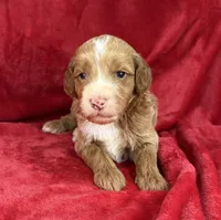 processed/11426e4a-1039-4529-87ed-ed52231681e2/listing/a7d562ac-9c63-4358-b18a-b88e699c2967/f71f0200-bd82-4713-837b-f2c514990ea8