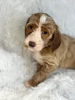 processed/11426e4a-1039-4529-87ed-ed52231681e2/listing/a8364685-9ca0-4318-a6c0-50f31f6710a8/68d5e5e3-67db-482c-b6e7-d0c31514d2aa