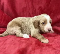 processed/11426e4a-1039-4529-87ed-ed52231681e2/listing/a8364685-9ca0-4318-a6c0-50f31f6710a8/f2702724-0d55-4c75-807e-3cc9e0909aa1