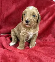 processed/11426e4a-1039-4529-87ed-ed52231681e2/listing/ab61f943-133d-4853-be86-97618f0b6dbf/66302b5a-4bd1-4af0-aa08-3d081136392f