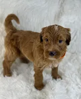 processed/11426e4a-1039-4529-87ed-ed52231681e2/listing/ab61f943-133d-4853-be86-97618f0b6dbf/7185659d-8e07-4f9f-960a-eec2bf1e7fc8