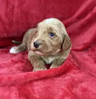 processed/11426e4a-1039-4529-87ed-ed52231681e2/listing/ab61f943-133d-4853-be86-97618f0b6dbf/fd8561e5-66d0-47e2-a52f-fceaa017a967