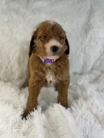 processed/11426e4a-1039-4529-87ed-ed52231681e2/listing/ed004d64-a898-44a0-8bc4-731e45a89bd4/48ab5771-7566-4484-95ce-78dc424f7949