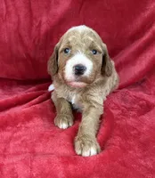 processed/11426e4a-1039-4529-87ed-ed52231681e2/listing/ed004d64-a898-44a0-8bc4-731e45a89bd4/dc0502b5-193f-46a7-8e45-ddbb8b497a2f