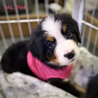 processed/115f7ca5-d7f6-43ec-90fc-d0a7711e5812/listing/3b902c06-d1f7-429b-ae6f-25c86e2e551c/10d4704c-13d5-47bc-b133-f3d5bbbd7e30