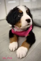 processed/115f7ca5-d7f6-43ec-90fc-d0a7711e5812/listing/3b902c06-d1f7-429b-ae6f-25c86e2e551c/2188c5f4-64db-40ed-a5bf-2414d847e87f