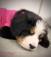 processed/115f7ca5-d7f6-43ec-90fc-d0a7711e5812/listing/3b902c06-d1f7-429b-ae6f-25c86e2e551c/2d4b2f22-3a97-482b-96c2-908f93162cce