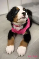 processed/115f7ca5-d7f6-43ec-90fc-d0a7711e5812/listing/3b902c06-d1f7-429b-ae6f-25c86e2e551c/2e4372ea-82d5-4946-81ed-7ea7ce3d2b18