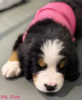 processed/115f7ca5-d7f6-43ec-90fc-d0a7711e5812/listing/3b902c06-d1f7-429b-ae6f-25c86e2e551c/aee1bbb9-fa5d-4286-a54c-42d12de45eba