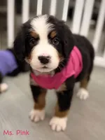 processed/115f7ca5-d7f6-43ec-90fc-d0a7711e5812/listing/3b902c06-d1f7-429b-ae6f-25c86e2e551c/cca7f56f-2a52-4921-82bd-183ffbc8aac3