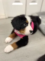 processed/115f7ca5-d7f6-43ec-90fc-d0a7711e5812/listing/3b902c06-d1f7-429b-ae6f-25c86e2e551c/d01bda8e-2448-4c0d-8d05-50ad623f7a59