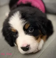 processed/115f7ca5-d7f6-43ec-90fc-d0a7711e5812/listing/3b902c06-d1f7-429b-ae6f-25c86e2e551c/f51b5fae-990c-4ef8-b78b-a72e59a79e39