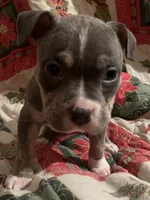 processed/1173cb88-8c33-4564-ac20-4fee682652af/listing/526c3297-739e-4a24-8e57-d3a857b5b627/3840404f-fcc2-4c8d-a994-69b92dec7d18