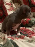 processed/1173cb88-8c33-4564-ac20-4fee682652af/listing/526c3297-739e-4a24-8e57-d3a857b5b627/521a7062-f7c2-4885-8946-c9fff78ac3d4