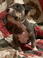 processed/1173cb88-8c33-4564-ac20-4fee682652af/listing/526c3297-739e-4a24-8e57-d3a857b5b627/c31e18c2-d131-42d7-87c8-35d0000f8d74