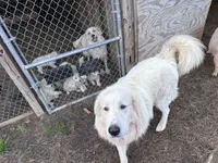 processed/1175ea02-f3b4-42a4-8371-ce60d7b84b00/listing/521414a3-cbdc-48df-8d5c-b39f7daaebd7/fd0c0b9a-4dd1-48b6-b0fc-509028c9b0a6