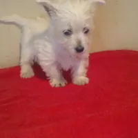 processed/1178ca29-2808-4c54-a89c-1596e8ad06ea/facility/07e72a6a-08cc-4073-90d8-ed371d2a25be