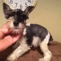 processed/1178ca29-2808-4c54-a89c-1596e8ad06ea/facility/17e9a3a4-6218-440d-b3e3-7a20d01b3434