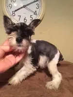 processed/1178ca29-2808-4c54-a89c-1596e8ad06ea/facility/17e9a3a4-6218-440d-b3e3-7a20d01b3434