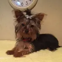 processed/1178ca29-2808-4c54-a89c-1596e8ad06ea/facility/252ff946-6dd3-4e2a-9c5c-9e4b1b2c8148