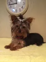 processed/1178ca29-2808-4c54-a89c-1596e8ad06ea/facility/252ff946-6dd3-4e2a-9c5c-9e4b1b2c8148