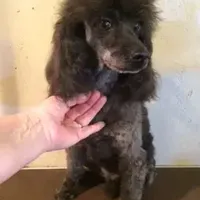 processed/1178ca29-2808-4c54-a89c-1596e8ad06ea/facility/33bde1a7-db52-4490-b3a7-a2892ea7891d