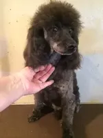 processed/1178ca29-2808-4c54-a89c-1596e8ad06ea/facility/33bde1a7-db52-4490-b3a7-a2892ea7891d