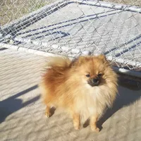 processed/1178ca29-2808-4c54-a89c-1596e8ad06ea/facility/74e6d556-28f8-436e-a7dd-3c349a03f5ac