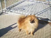 processed/1178ca29-2808-4c54-a89c-1596e8ad06ea/facility/74e6d556-28f8-436e-a7dd-3c349a03f5ac