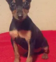 processed/1178ca29-2808-4c54-a89c-1596e8ad06ea/facility/75fbbb56-c052-4482-a80a-cc2732d18bfe