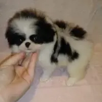 processed/1178ca29-2808-4c54-a89c-1596e8ad06ea/facility/ae25669c-c6c8-4c27-b1f6-74bde2ad82ec