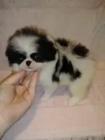 processed/1178ca29-2808-4c54-a89c-1596e8ad06ea/facility/ae25669c-c6c8-4c27-b1f6-74bde2ad82ec