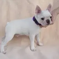 processed/1178ca29-2808-4c54-a89c-1596e8ad06ea/facility/c7ddf0e1-be2c-42e1-bb50-9cf202d05c96