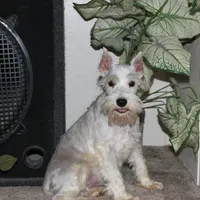 processed/1178ca29-2808-4c54-a89c-1596e8ad06ea/facility/c8609263-5e8b-4baa-bade-1bf34ef72718