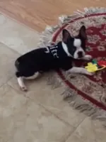 processed/1178ca29-2808-4c54-a89c-1596e8ad06ea/facility/f517735b-e83e-48d9-b38a-b7cf4a5c4da2