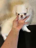 processed/1178ca29-2808-4c54-a89c-1596e8ad06ea/listing/010c8273-61be-45d7-9d52-3aa7d1f60019/3be2c090-dd05-4bb9-a891-8875b0ddbdaf