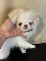 processed/1178ca29-2808-4c54-a89c-1596e8ad06ea/listing/010c8273-61be-45d7-9d52-3aa7d1f60019/5f26abe5-9de8-4dd6-b195-71bb34e1d0f8