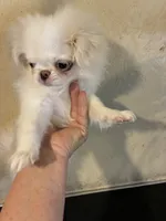 processed/1178ca29-2808-4c54-a89c-1596e8ad06ea/listing/010c8273-61be-45d7-9d52-3aa7d1f60019/6fe61a19-78df-4548-80f9-57890537eab5