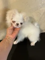 processed/1178ca29-2808-4c54-a89c-1596e8ad06ea/listing/010c8273-61be-45d7-9d52-3aa7d1f60019/ec939d4b-de96-44a8-926a-267dbc6e67de