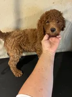 processed/1178ca29-2808-4c54-a89c-1596e8ad06ea/listing/2c0b510f-5198-4bb2-8e1c-53ed1adf22f6/91d49265-d48d-4552-b57a-ffa71419336c