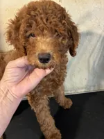 processed/1178ca29-2808-4c54-a89c-1596e8ad06ea/listing/2c0b510f-5198-4bb2-8e1c-53ed1adf22f6/938406b4-8529-45e7-aee4-1d1c17f43da1